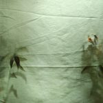 Lee más sobre el artículo Convocatoria fotografías y texto «PlaPF nº. 3 | Fotografía y Muerte»