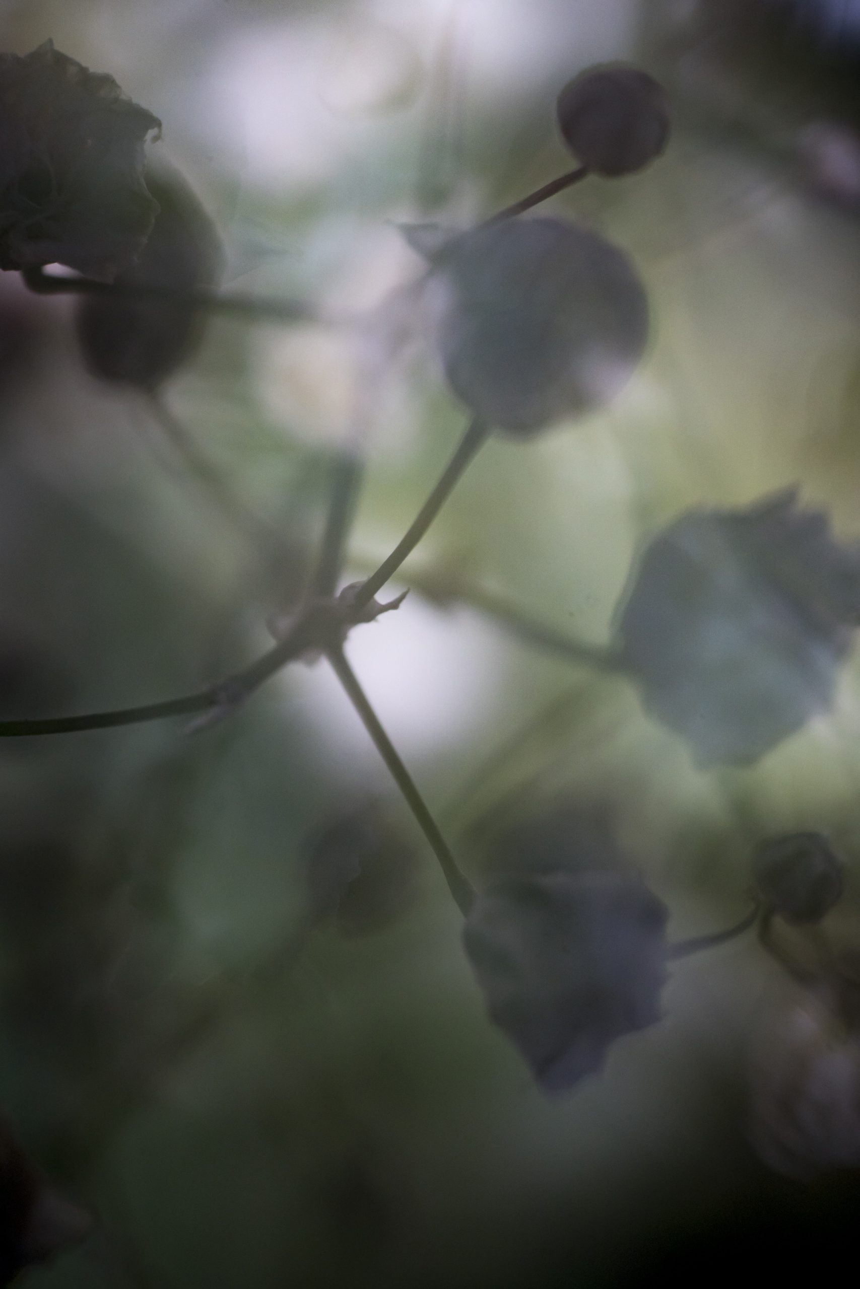 Foto: Ernesto Mendoza